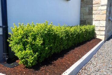 Hamilton & Casement, Industrial Commercial Projects, Design and Build, Contemporary & Traditional House Builder, Extensions, Refurbishments, New Builds, Project Management, Civil Engineering